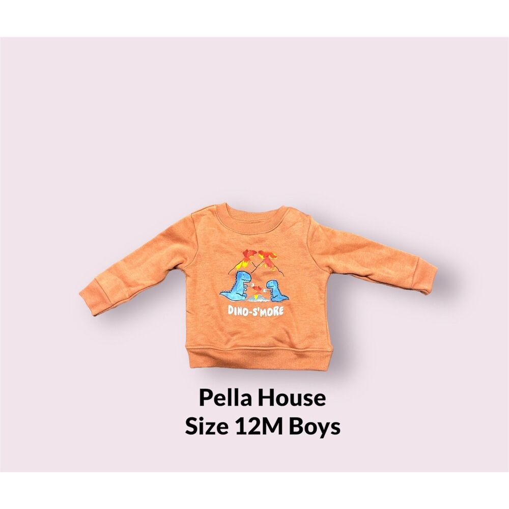 Garanimals Baby Boys Graphic Fleece Sweatshirt Sienna Burn Size 12M